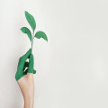 Wat betekent scale-up? Uitleg en voorbeelden voor ondernemers
