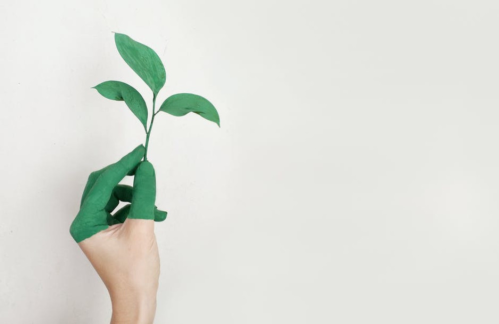 Wat betekent scale-up? Uitleg en voorbeelden voor ondernemers